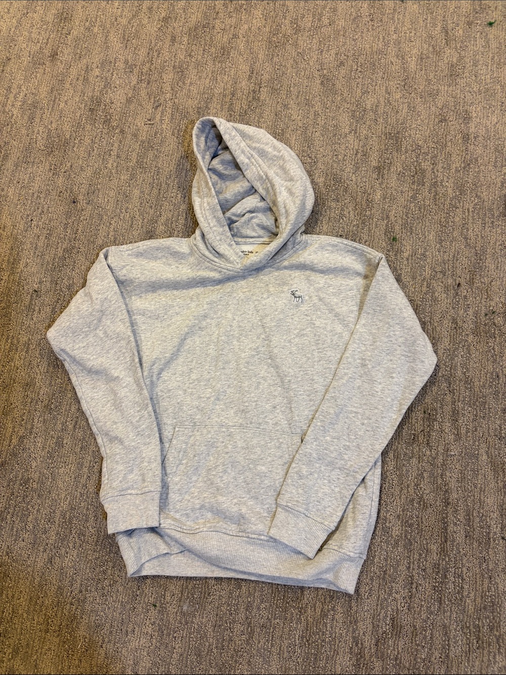 Abercrombie & Fitch Light Gray Pullover Hoodie